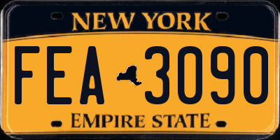 NY license plate FEA3090