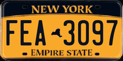 NY license plate FEA3097