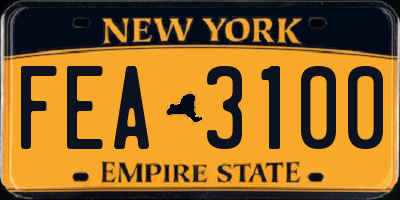 NY license plate FEA3100