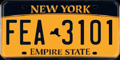 NY license plate FEA3101