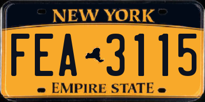 NY license plate FEA3115