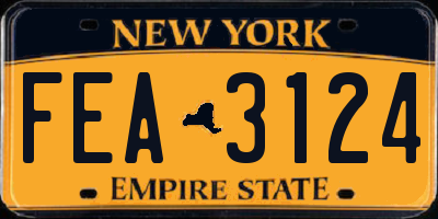 NY license plate FEA3124