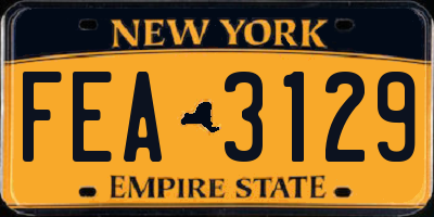 NY license plate FEA3129