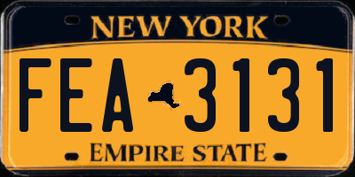 NY license plate FEA3131