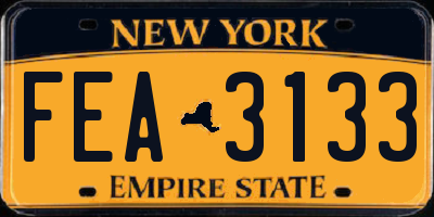 NY license plate FEA3133