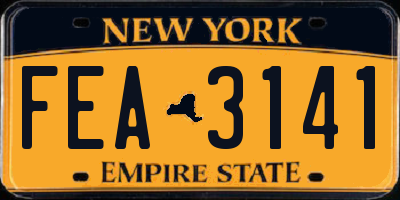 NY license plate FEA3141