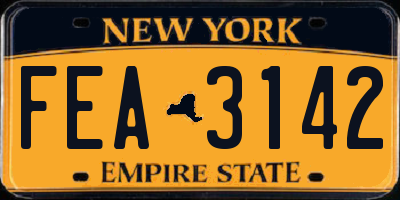 NY license plate FEA3142