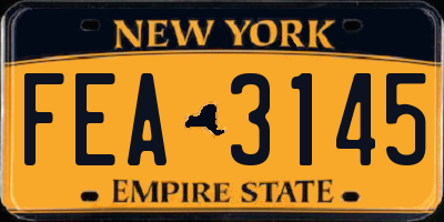 NY license plate FEA3145