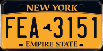 NY license plate FEA3151