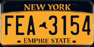 NY license plate FEA3154