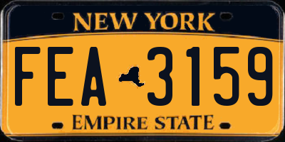 NY license plate FEA3159
