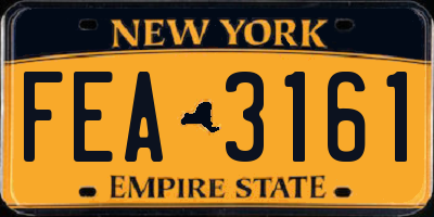 NY license plate FEA3161