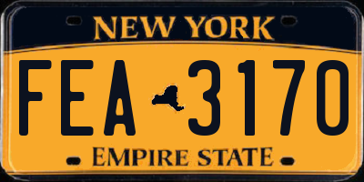 NY license plate FEA3170