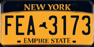 NY license plate FEA3173