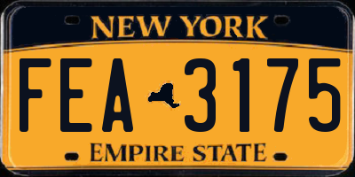NY license plate FEA3175