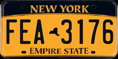 NY license plate FEA3176