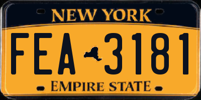 NY license plate FEA3181