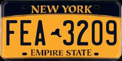 NY license plate FEA3209
