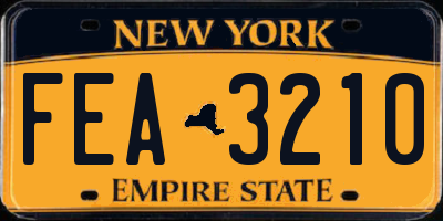 NY license plate FEA3210