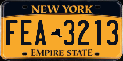 NY license plate FEA3213