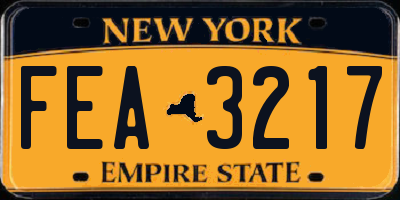 NY license plate FEA3217