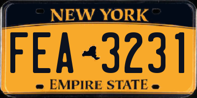 NY license plate FEA3231