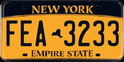 NY license plate FEA3233