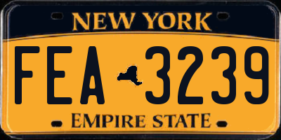 NY license plate FEA3239