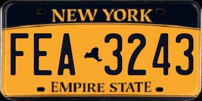 NY license plate FEA3243