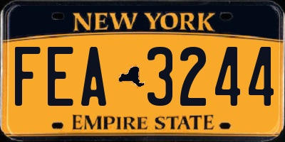 NY license plate FEA3244