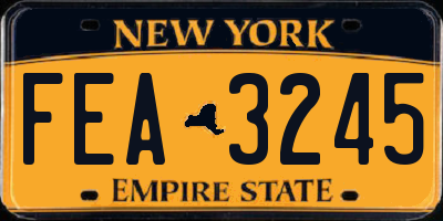 NY license plate FEA3245