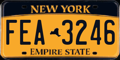 NY license plate FEA3246