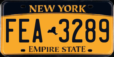 NY license plate FEA3289