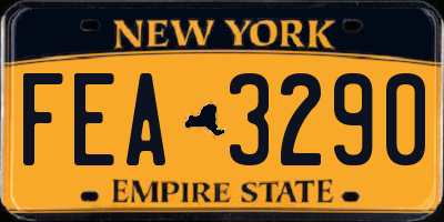 NY license plate FEA3290