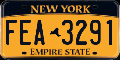 NY license plate FEA3291