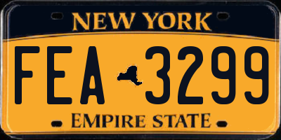 NY license plate FEA3299