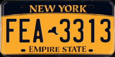 NY license plate FEA3313