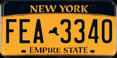 NY license plate FEA3340