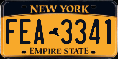 NY license plate FEA3341
