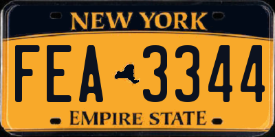 NY license plate FEA3344