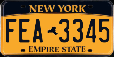 NY license plate FEA3345