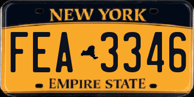 NY license plate FEA3346