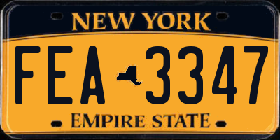 NY license plate FEA3347