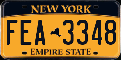 NY license plate FEA3348