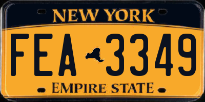 NY license plate FEA3349
