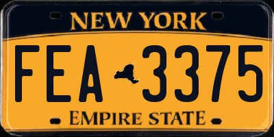 NY license plate FEA3375