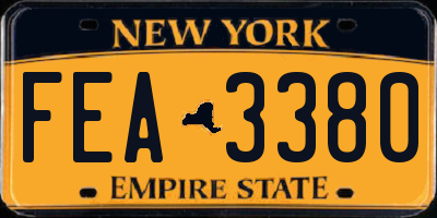 NY license plate FEA3380