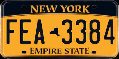 NY license plate FEA3384