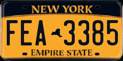 NY license plate FEA3385