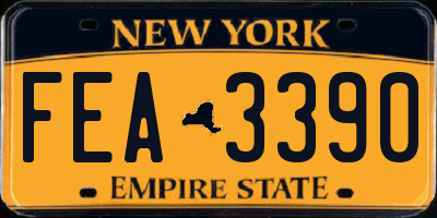 NY license plate FEA3390